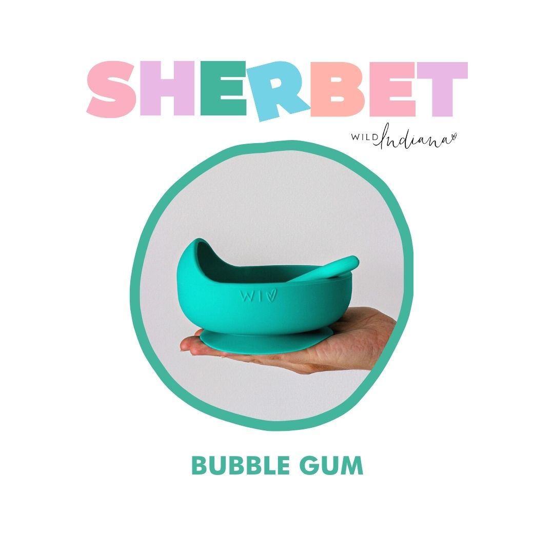 Wild Indiana | Sherbet Silicone Bowl Set - Bubblegum