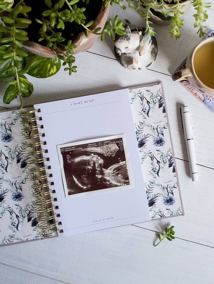 Bump. My Pregnancy Journal - Grey