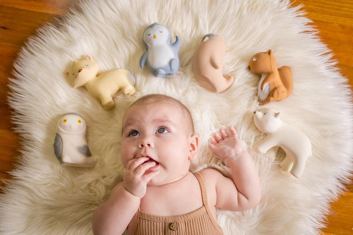 Tikiri-Teether-Arctic-Squirrel-Tutu-Irresistible